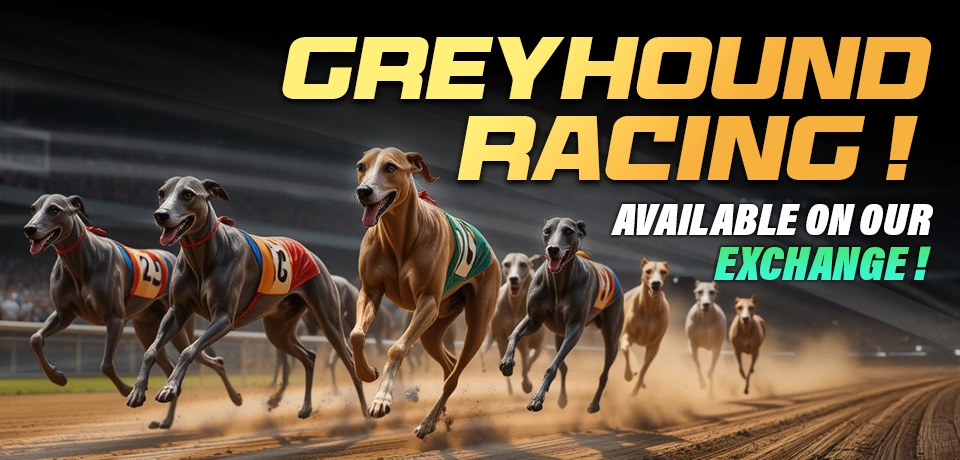 GREYHOUND-RACING-WEB-BANNER